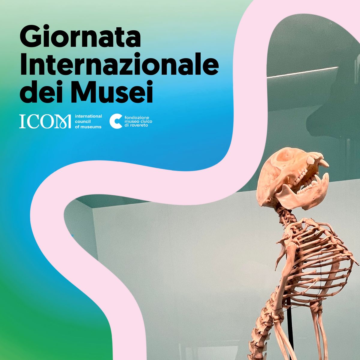 Un insolito viaggio dal Museo al mondo - speciale Museum Day