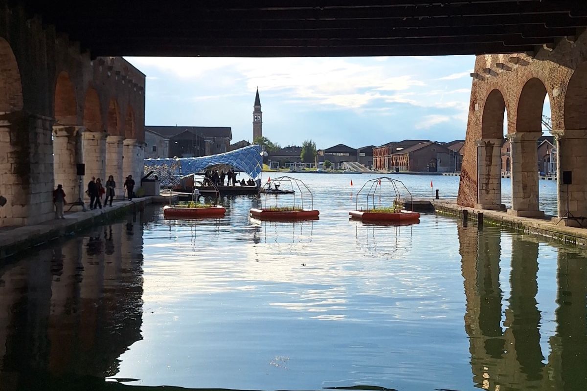 biennale2025