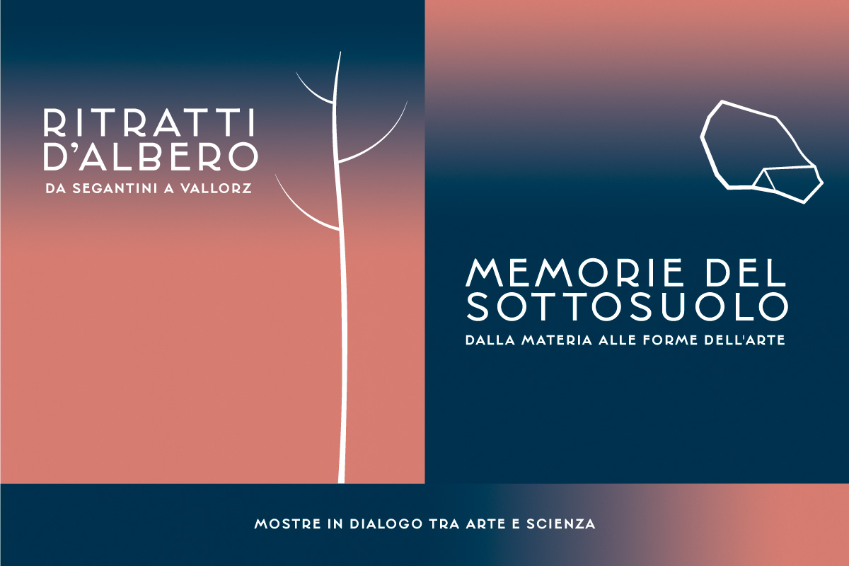 Ritratti d'albero - Memorie del sottosuolo