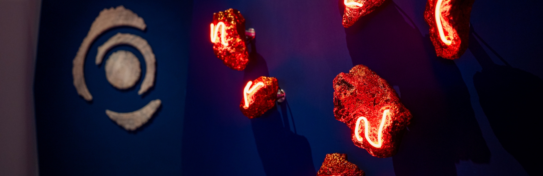 Ritratti d'albero - Memorie del sottosuolo