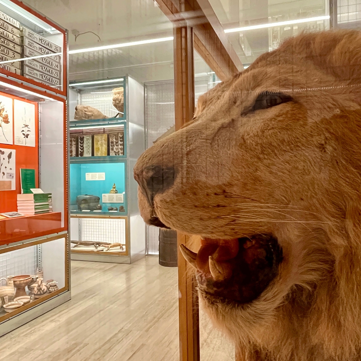 Questo sabato scopri...quanto sei evoluto