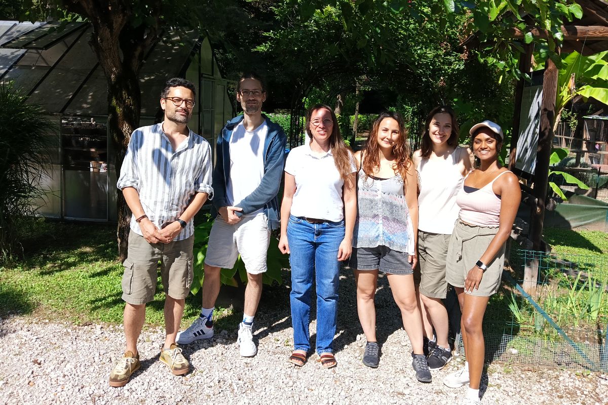 Il team di ricerca