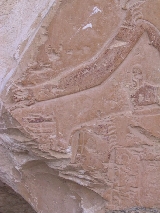 6767_19_3460.jpg 6767_19_3460.jpg